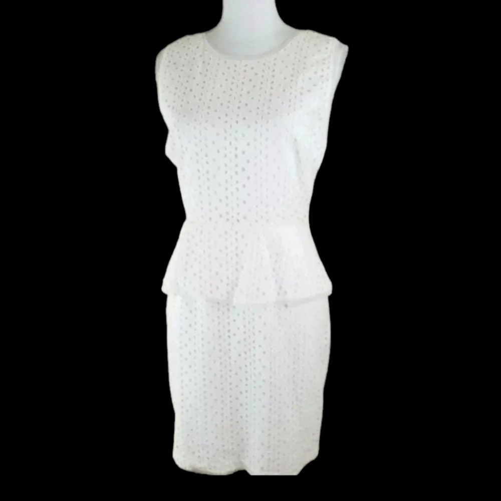 Max & Cleo~Women's Size 8~White Lace A-Line Career Ware to Work Dress NWT $128.0